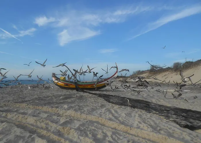 S. Thomé Apts Appartement